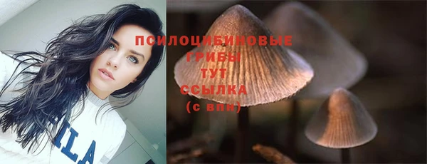 тгк Баксан