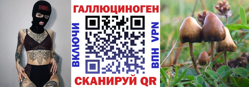 Псилоцибиновые грибы GOLDEN TEACHER  магазин продажи   Ленск 
